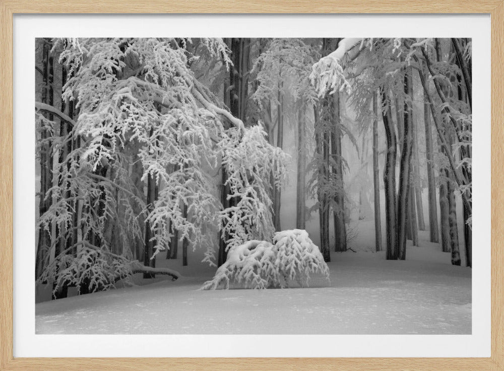 Perfekter Winter | Poster