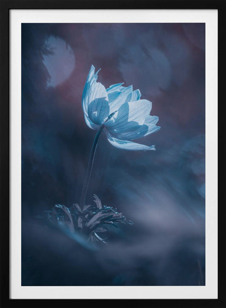 Träum weiter | Poster