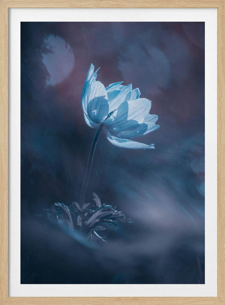 Träum weiter | Poster