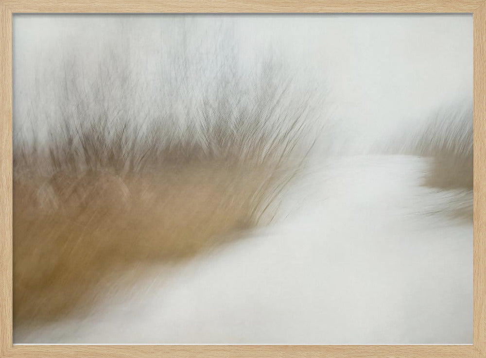 Wintertime | Poster