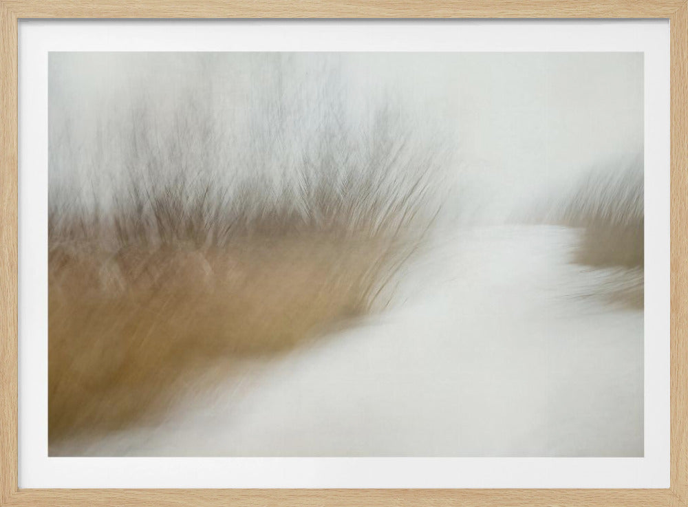 Wintertime | Poster