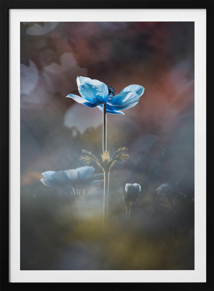 Blühe wie eine Blume | Poster