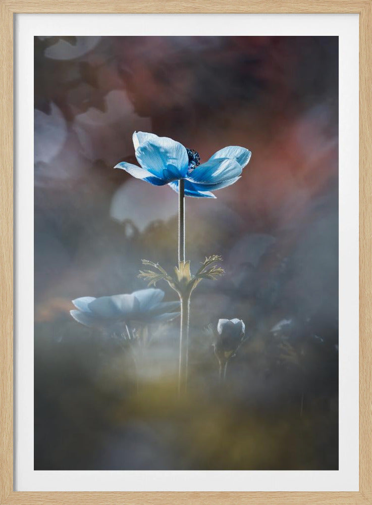 Blühe wie eine Blume | Poster