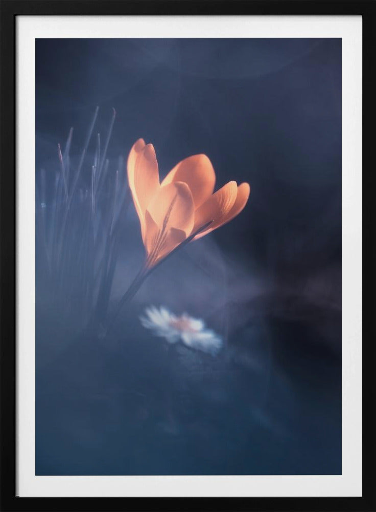 Upanishaden | Poster