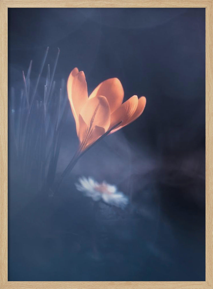 Upanishaden | Poster