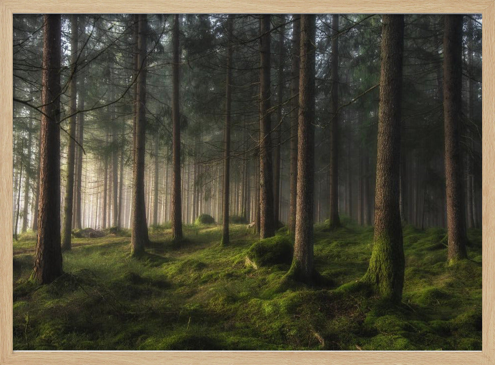 Ein Gefühl von Frühling | Poster