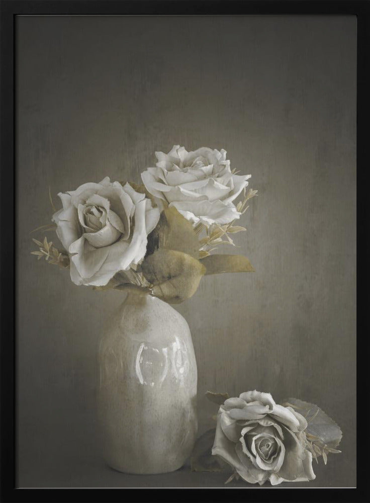 Softened | Poster