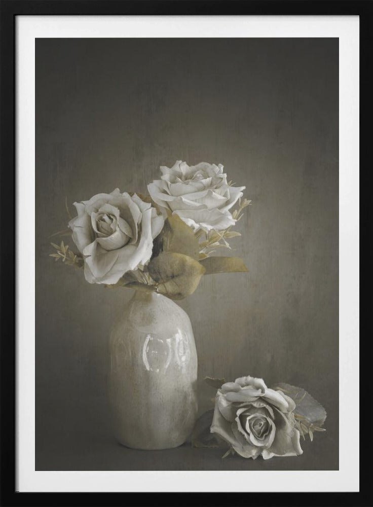 Softened | Poster