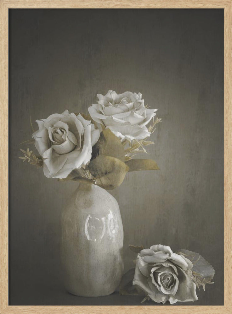 Softened | Poster