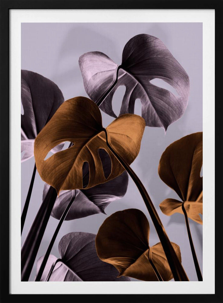 Monstera Lila 01 | Poster