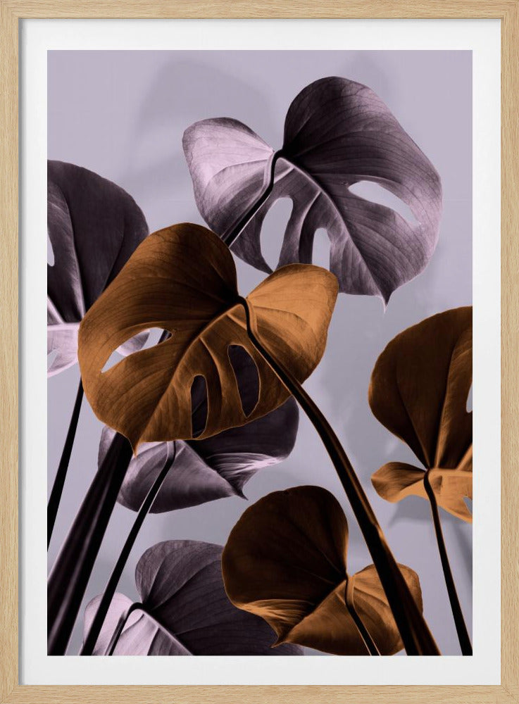 Monstera Lila 01 | Poster