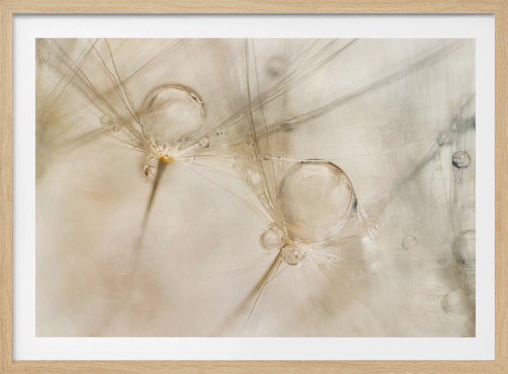 Aquarelle | Poster