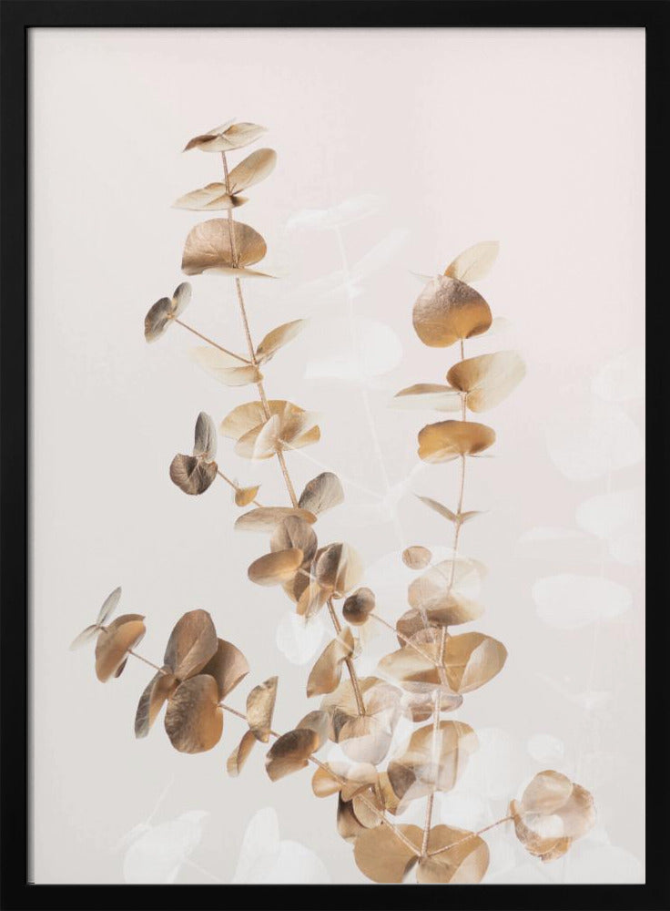 Eukalyptus Creative Gold 03 | Poster