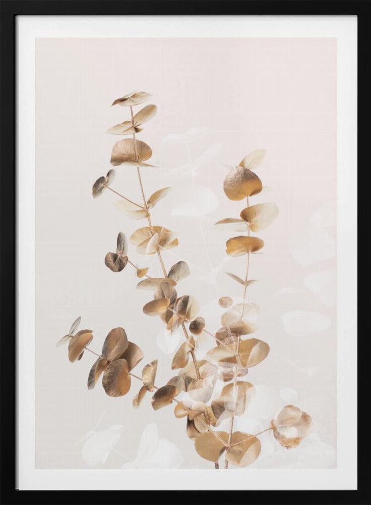 Eukalyptus Creative Gold 03 | Poster