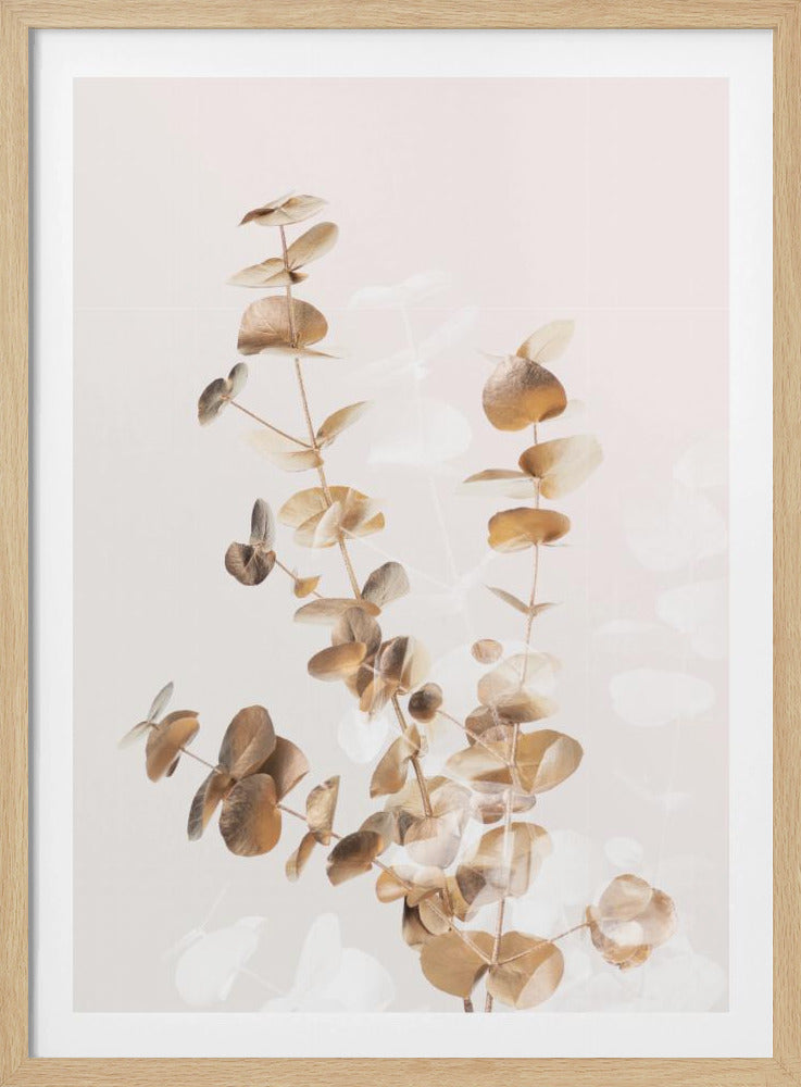 Eukalyptus Creative Gold 03 | Poster