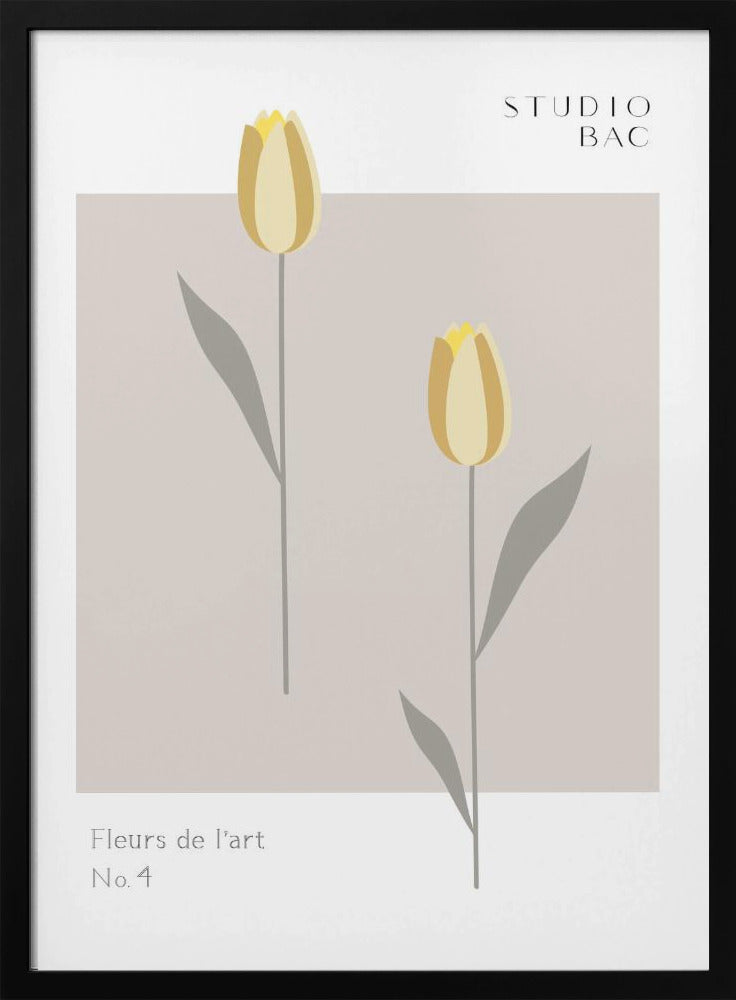 Tulips Studio Bac | Poster