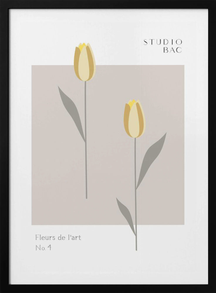 Tulips Studio Bac | Poster