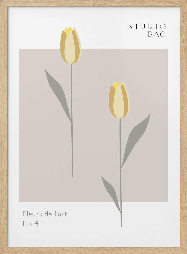 Tulips Studio Bac | Poster