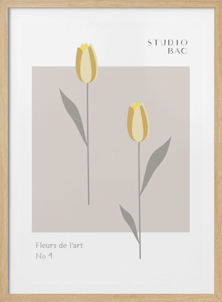 Tulips Studio Bac | Poster
