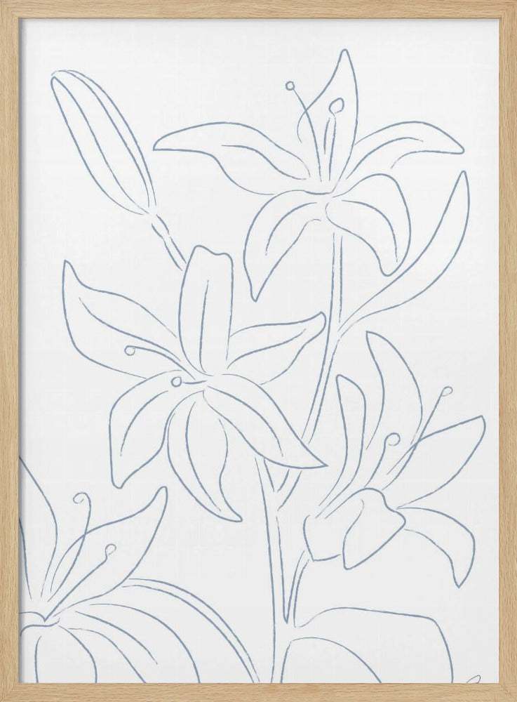 Lillies No 01 | Poster