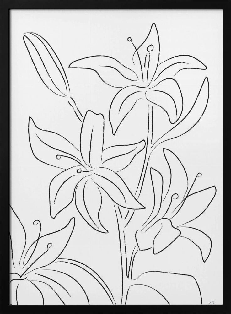 Lillies No 02 | Poster