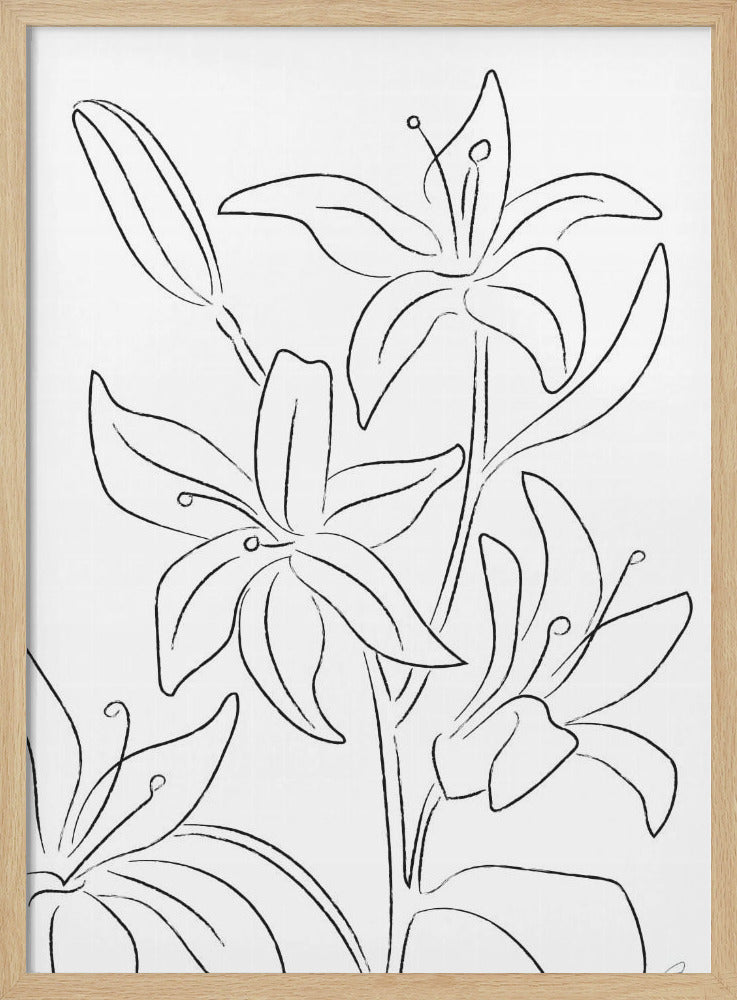 Lillies No 02 | Poster