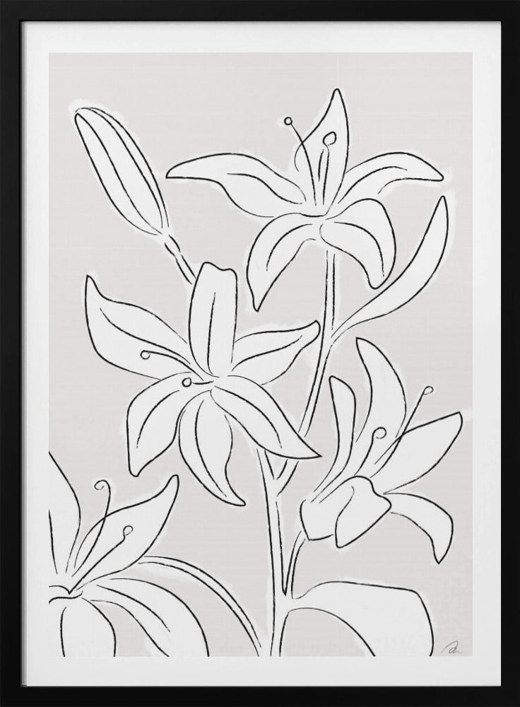Lillies No 03 | Poster