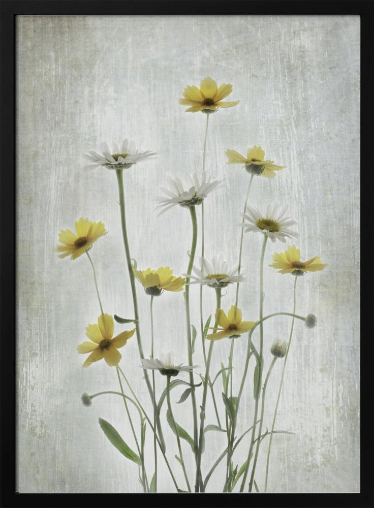 Sommerblumen | Poster