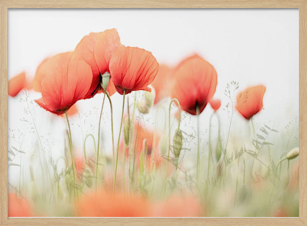 Sommertag | Poster