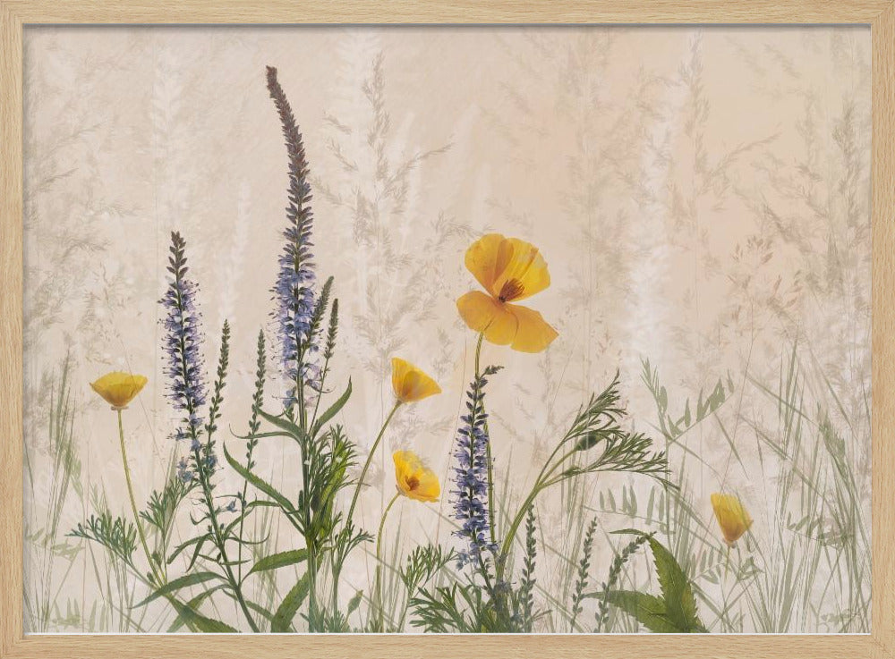 Dreaming of flowers | Poster