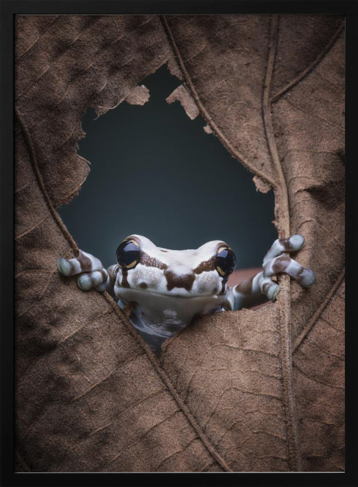 hello... | Poster