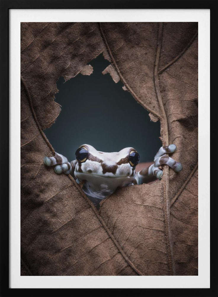 hello... | Poster