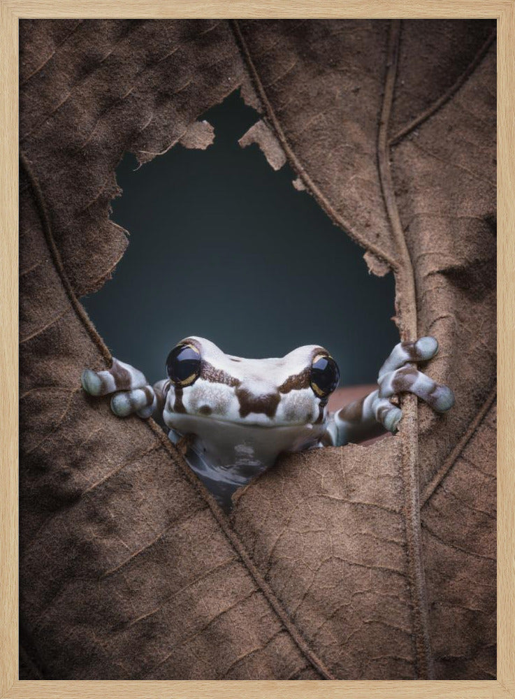 hello... | Poster
