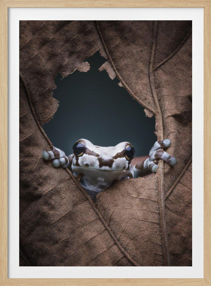 hello... | Poster