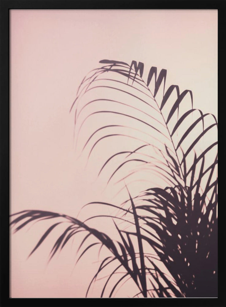 Palmblätter_1 | Poster