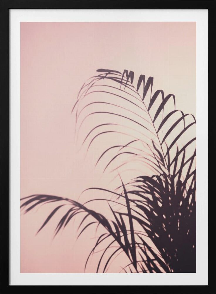 Palmblätter_1 | Poster