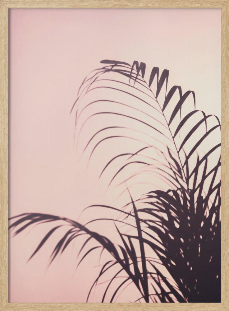Palmblätter_1 | Poster