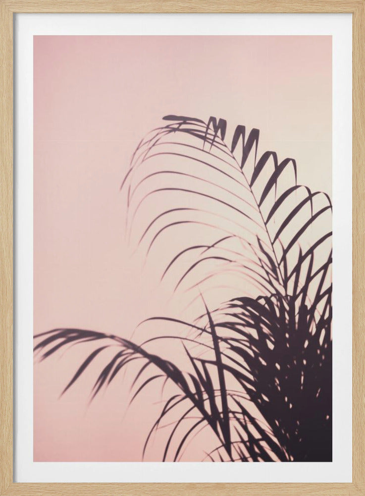 Palmblätter_1 | Poster