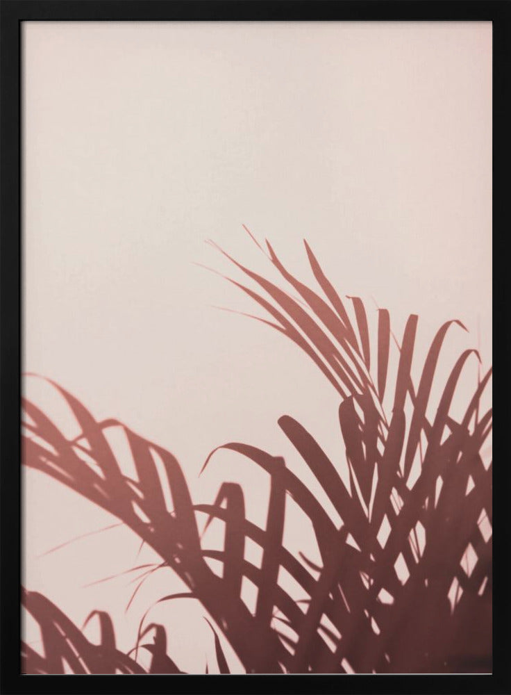 Palmblätter_2 | Poster