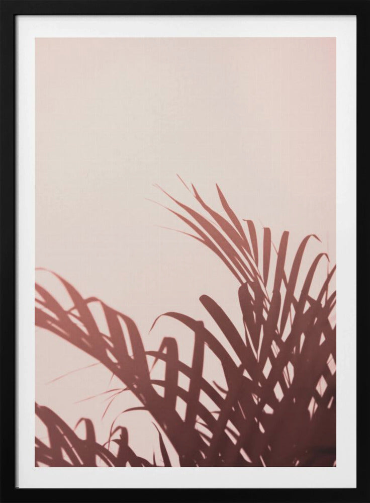 Palmblätter_2 | Poster