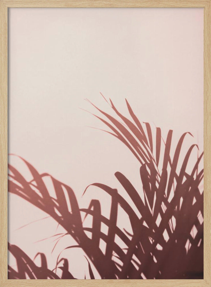 Palmblätter_2 | Poster