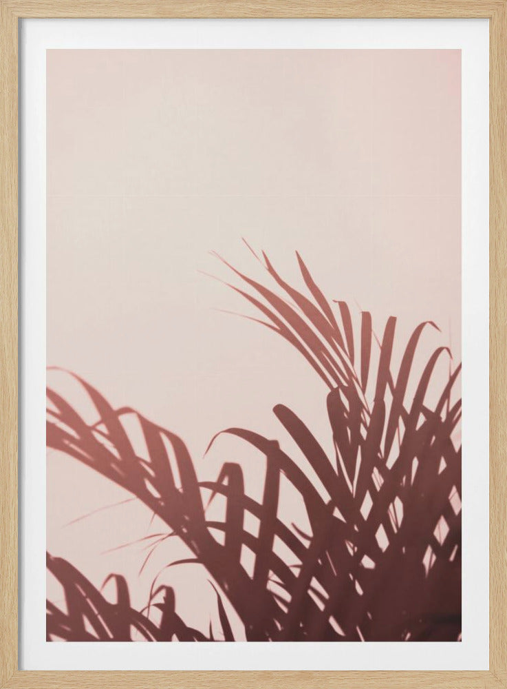 Palmblätter_2 | Poster