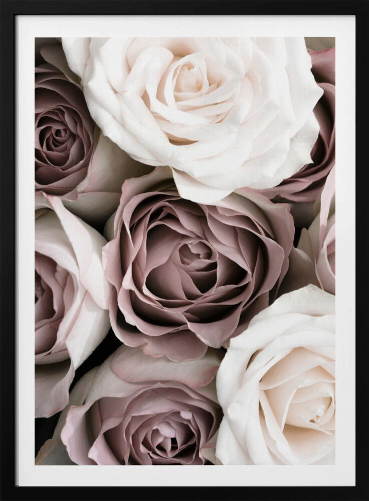 Rosen | Poster