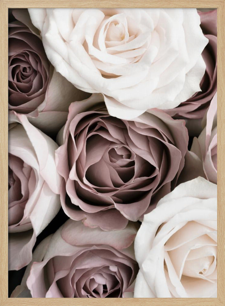 Rosen | Poster
