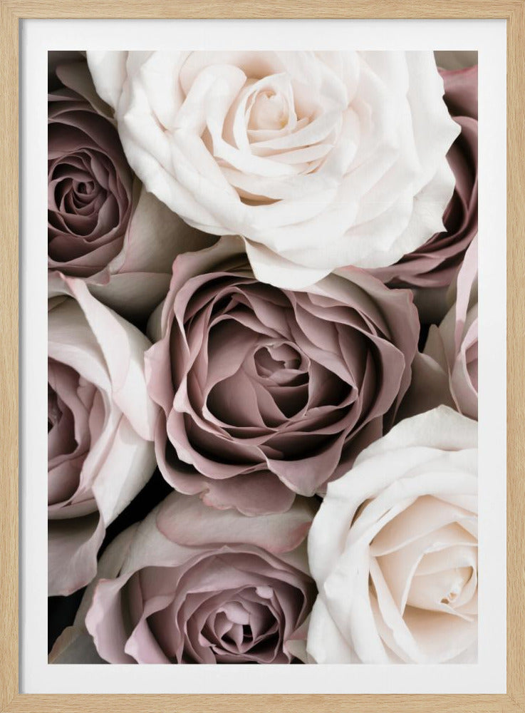Rosen | Poster