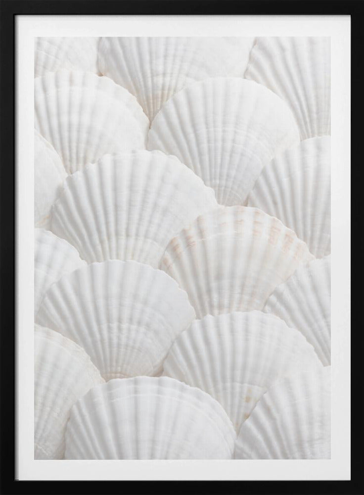 Muscheln_3 | Poster