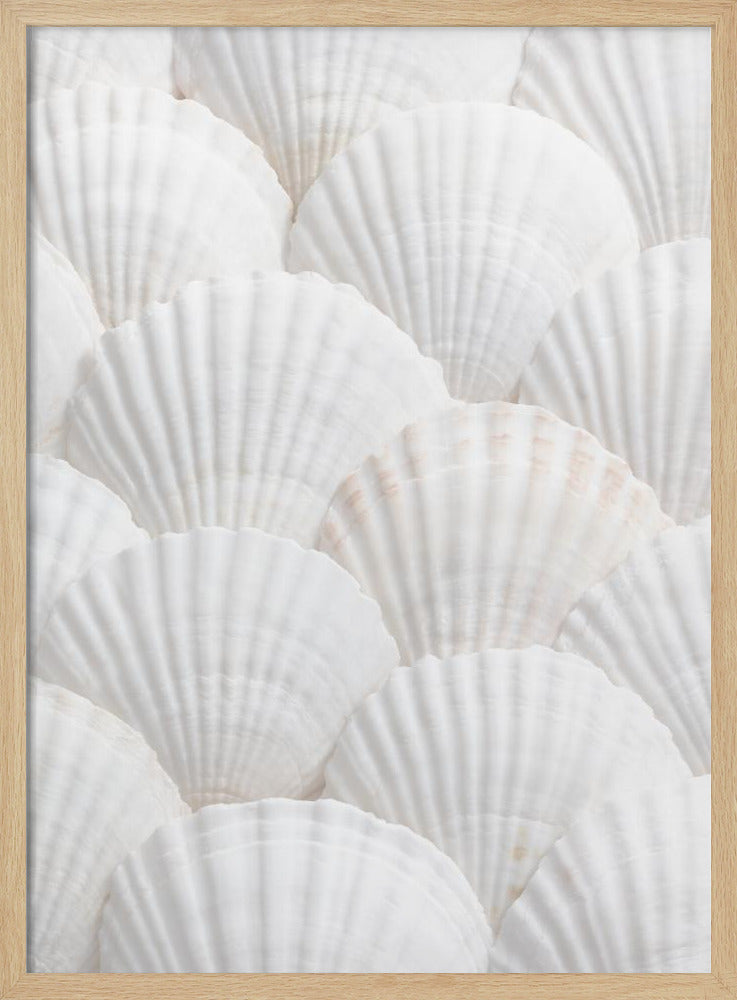 Muscheln_3 | Poster