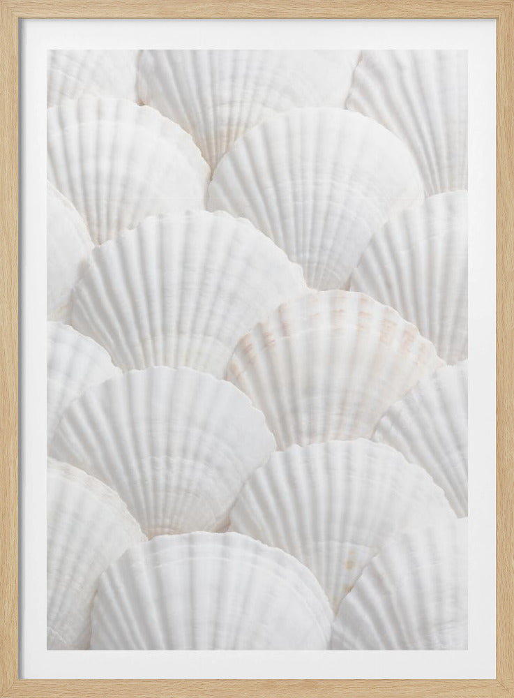 Muscheln_3 | Poster