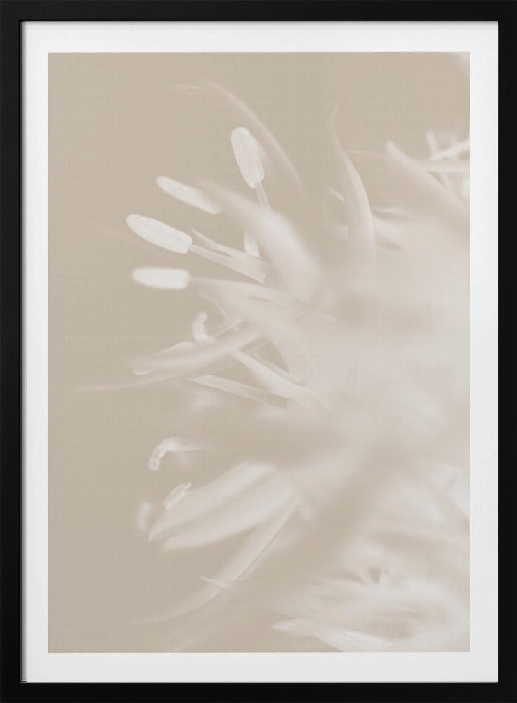 Blume Beige_1 | Poster