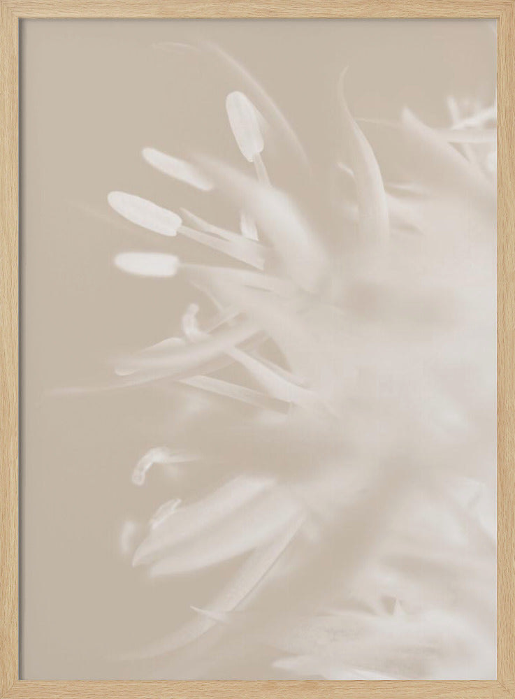 Blume Beige_1 | Poster